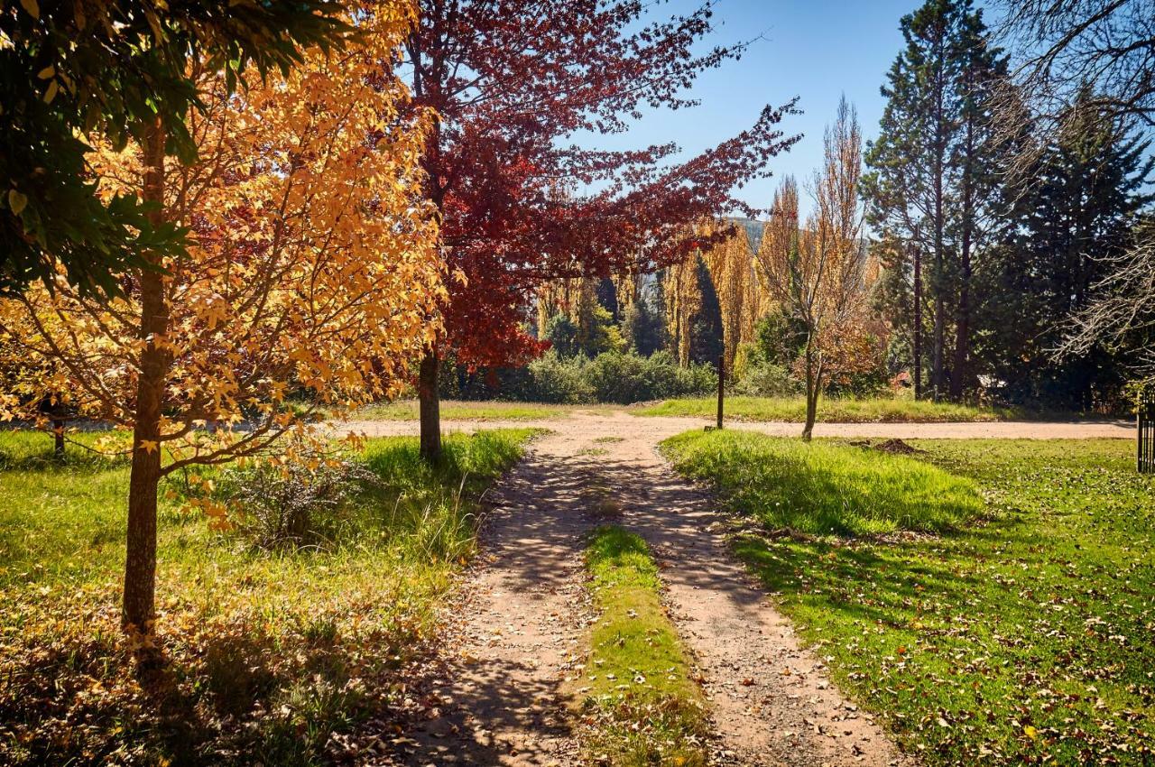 Forest Lane Clarens Exterior foto