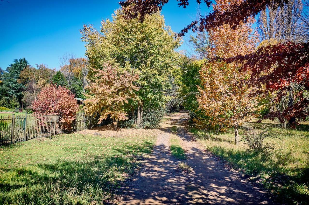 Forest Lane Clarens Exterior foto